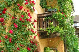 勇士客场逆转拓者，再度展现实力