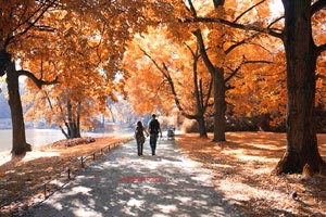 尼克斯队不敌步行者队，客场遭遇失利